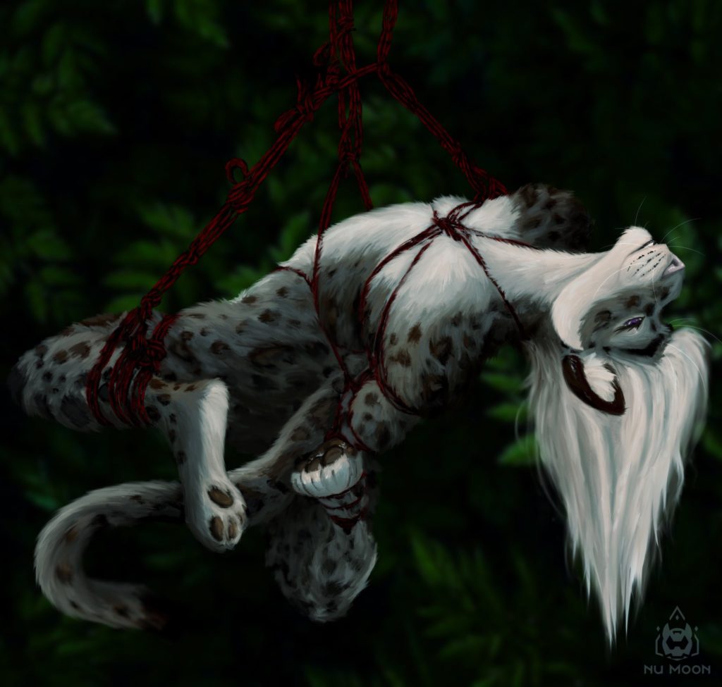 A nude anthropomorphic snow leopard hanging upside-down in a cradle of ornately tied in black and red rope. 